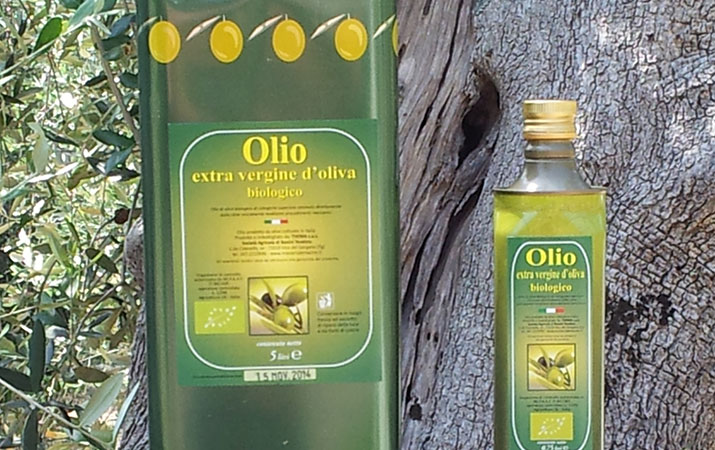 The extra virgin olive oil of  “Masseria Le Macine”